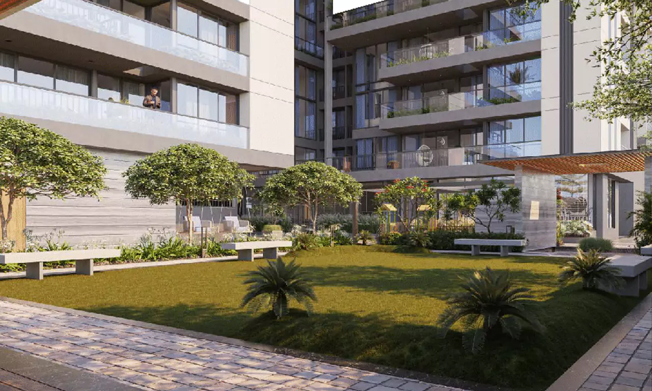 Tree Planting - Ideal Imbert in Chharodi