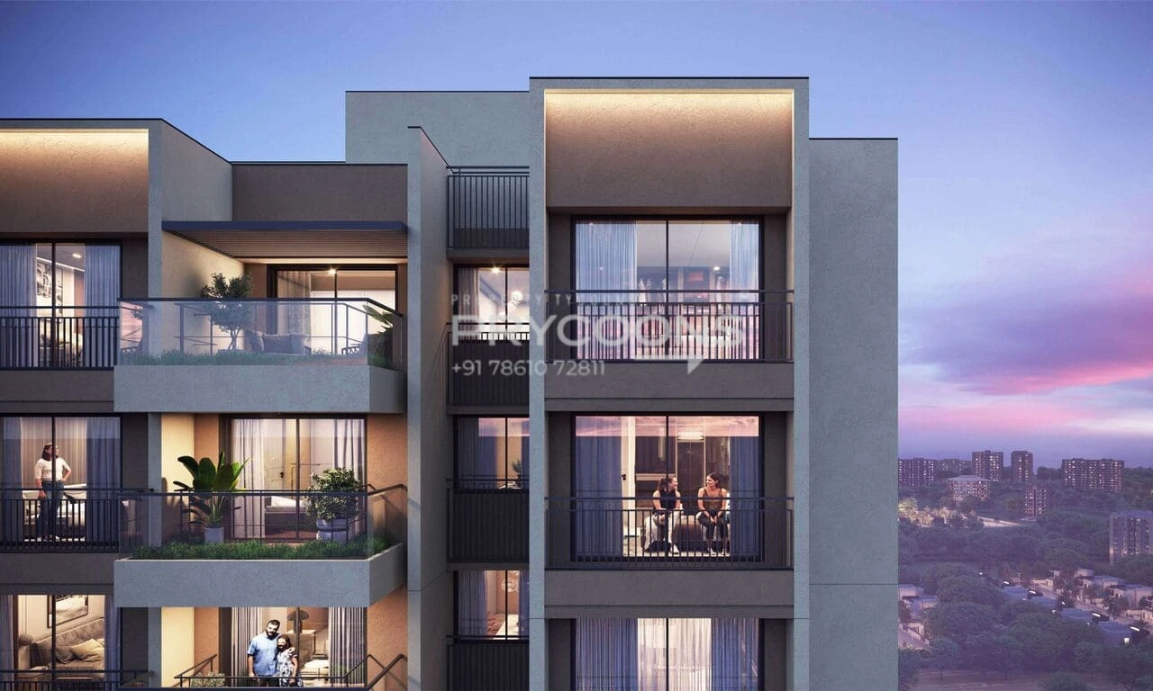 Dev The Galaxy in Shela