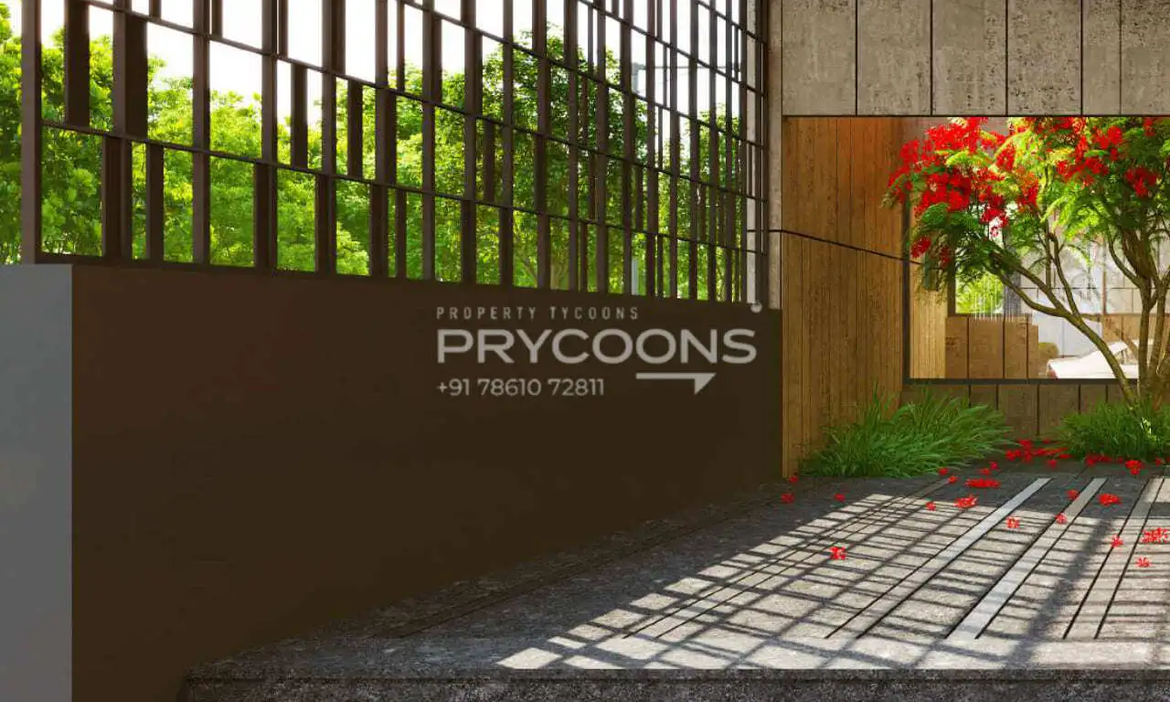 Addor the Life in Panjrapol Ahmedabad